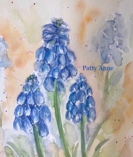 Bluebells in Bloom 3
