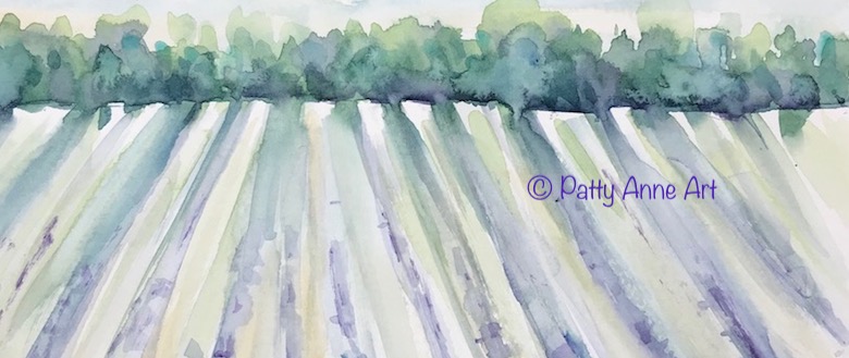Quiet Thursday – Lavender field