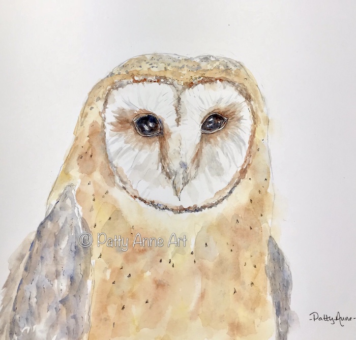 Barn owl watercolor painting