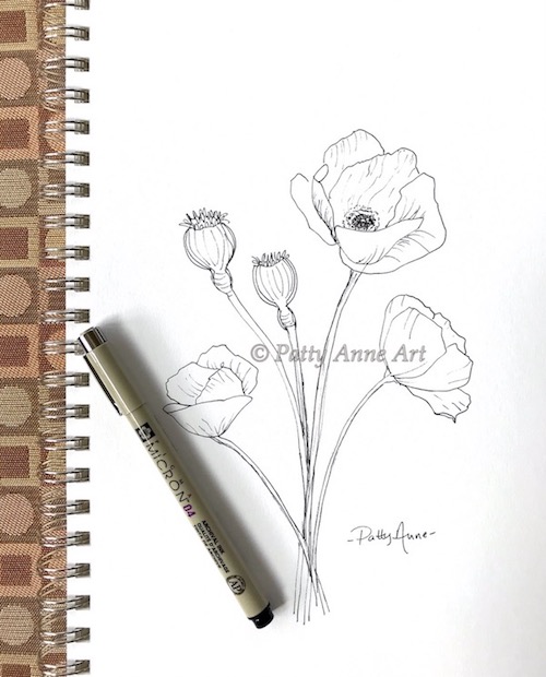 Poppies ink sketch