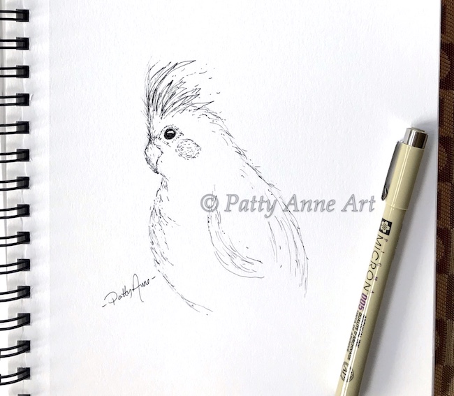 parrot ink sketch - minimal lines