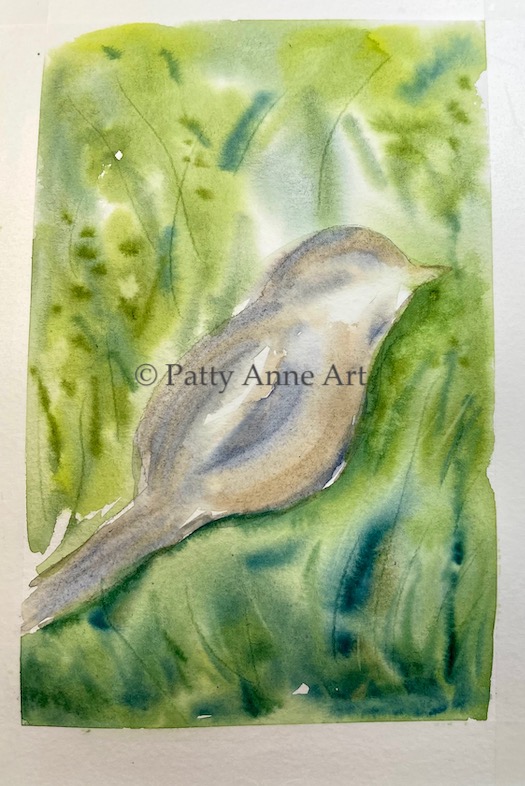 bird watercolor - first layer for bird