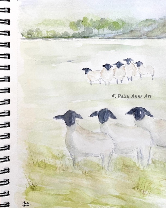 watercolor sheep in my sketchbook
